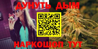 гашик Гудермес