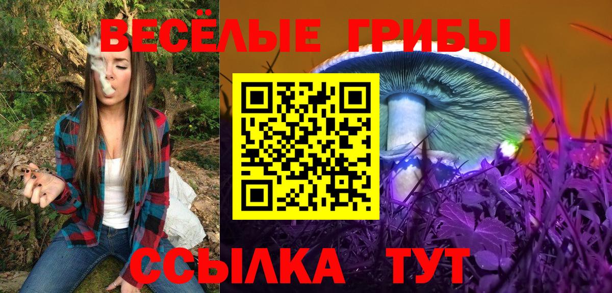 Бузулук  Галлюциногенные грибы MAGIC MUSHROOMS  купить наркоту  Вход с VPN 